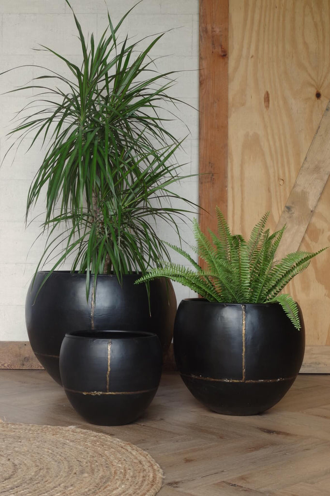 Black Iron Globe Planters - Set of 3