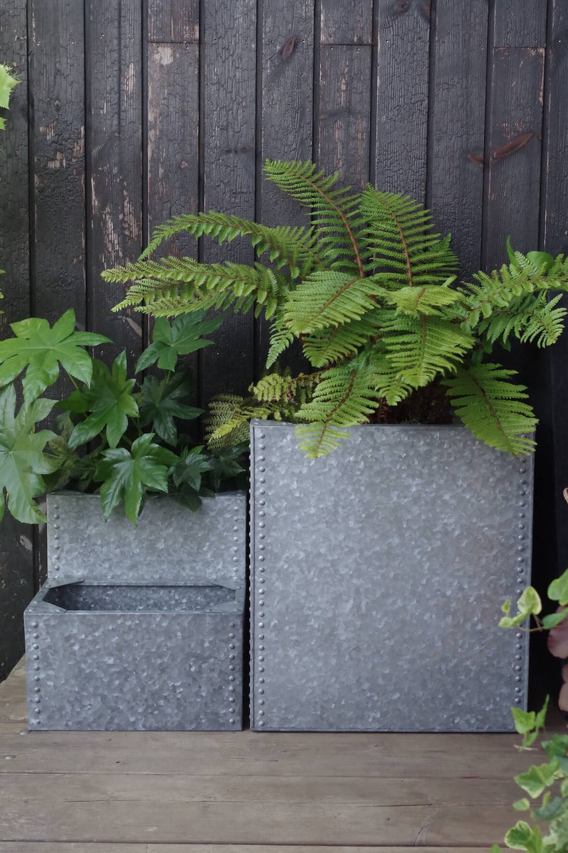 Buy Galvanised Water Tank Planters - Set of 3 | Delivery in 3-4 days ...